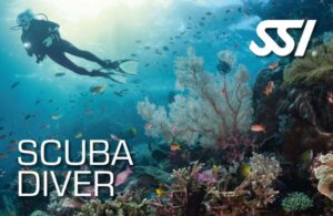 scuba diver ssi course bateig submarinisme bautizo ametlla de mar buceo