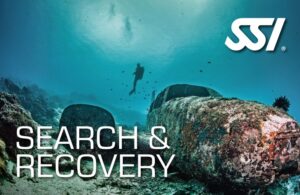 curso de búsqueda y recuperación