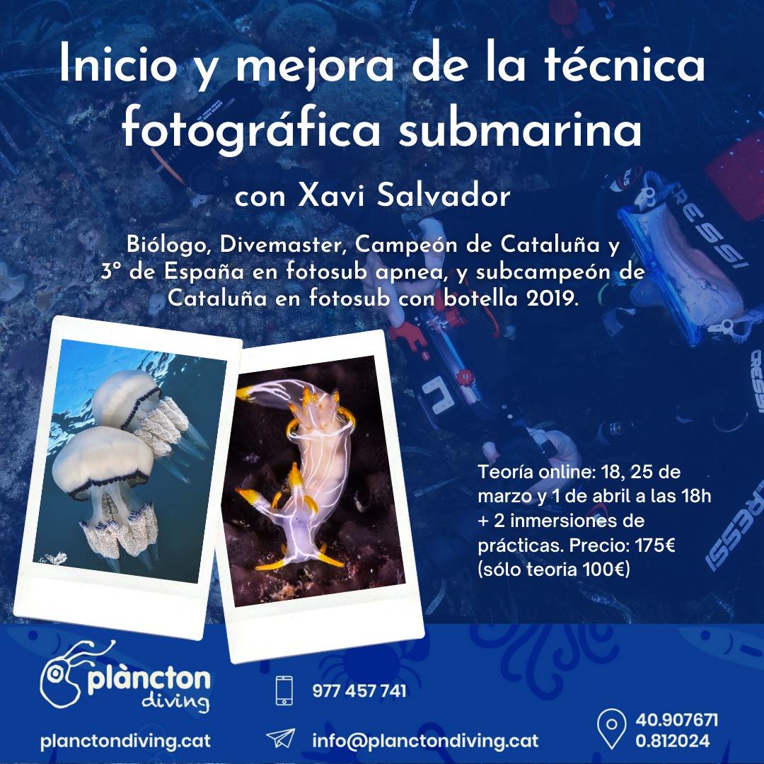 CURSO: Inicio y mejora de la técnica de fotografía submarina.