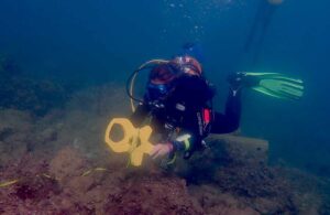 busseig-submarinisme-cientific-plancton-diving-ssi