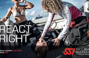 Primers auxilis - React right