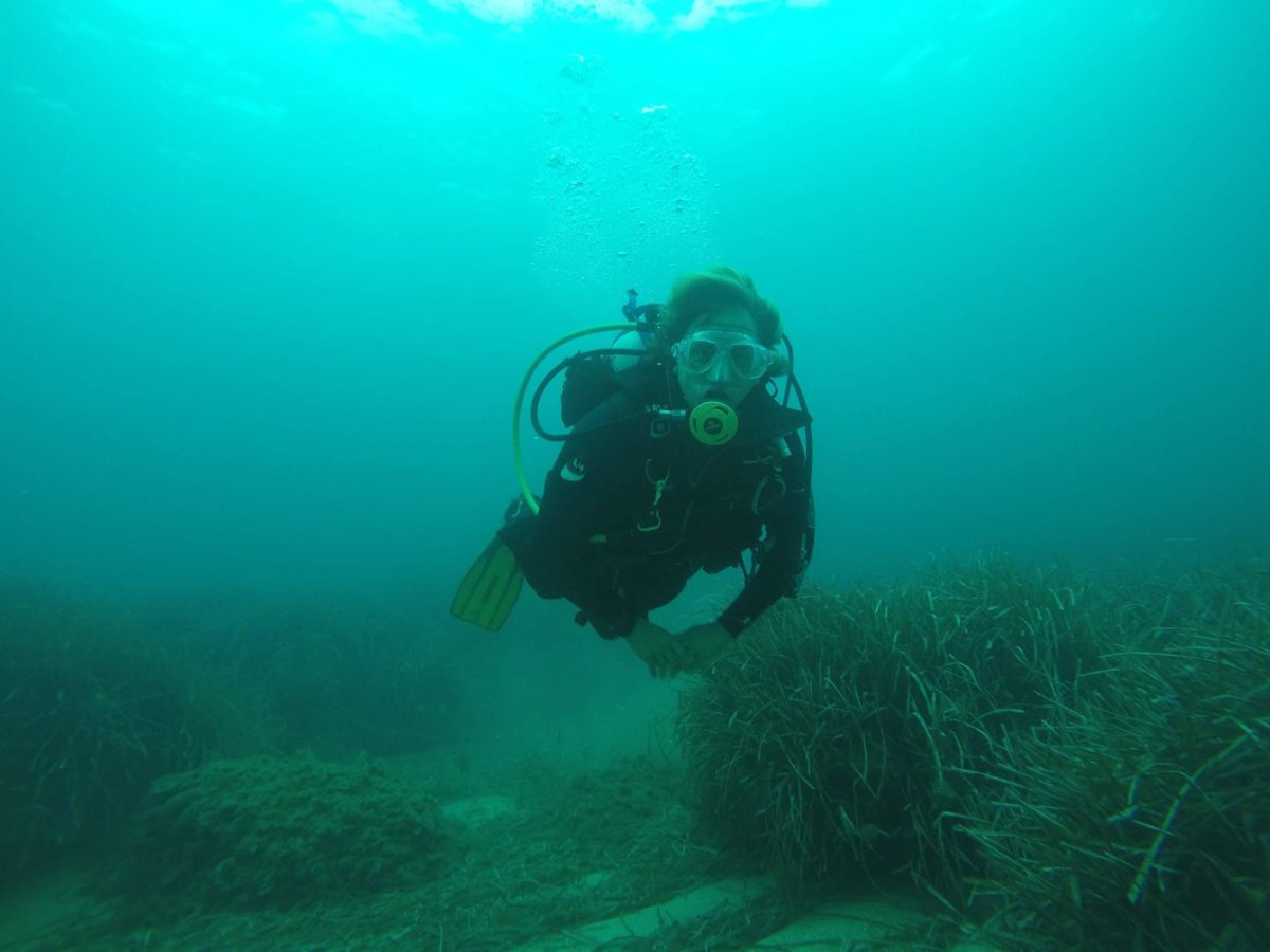 La teràpia del busseig