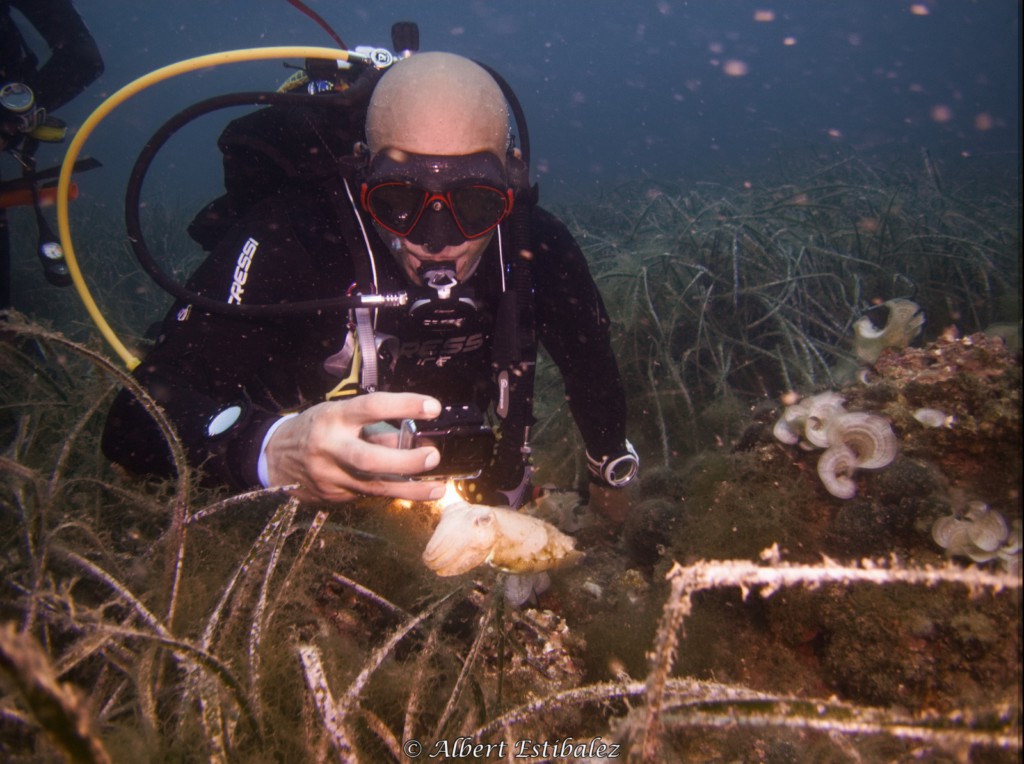 A la mar, sempre de forma respectuosa