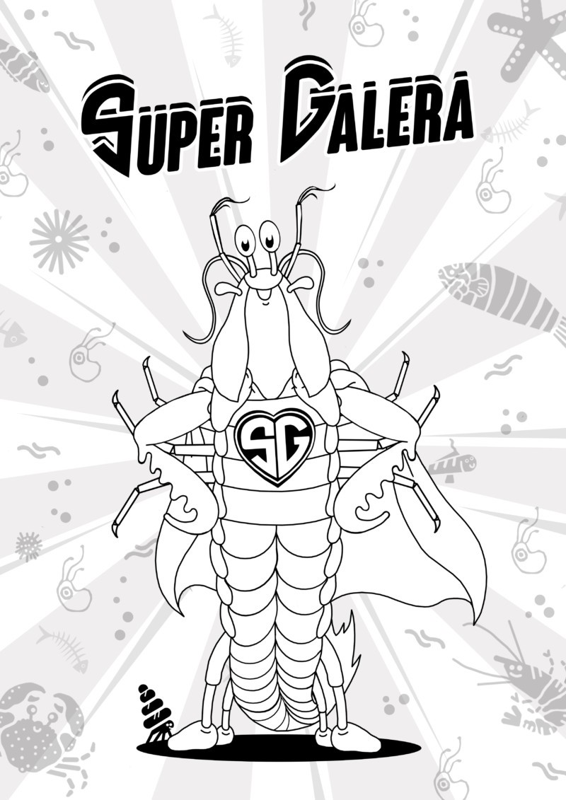 Avui #joemquedoacasa aprenent sobre la galera en família