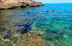 Sortida guiada Snorkel infants (8 a 16 anys)