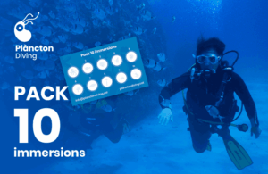 Pack Familiar (12 immersions)