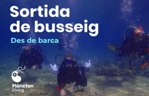 Sortida de busseig des de barca