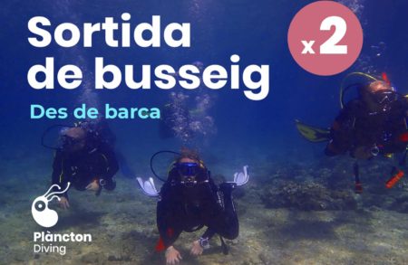 Linterna / Foco de buceo - Escuela y Centro de Buceo en Barcelona y Costa  Brava en Lloret de Mar