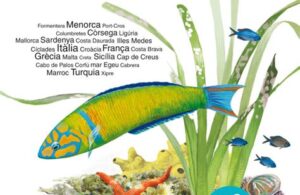 Guia Fauna i flora marina de la Mediterrània