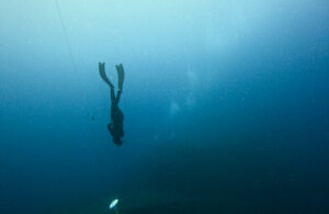 Curs d'iniciació a l'apnea