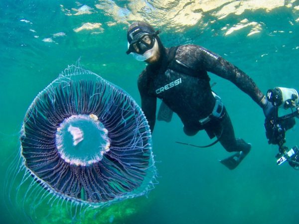 Centre de submarinisme i snorkel a l'Ametlla de Mar