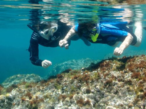 centre submarinisme i snorkel ametlla plàncton diving